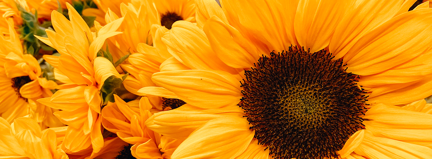 Image Slider